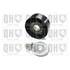 1 galet d'entrainement Quinton Hazell QTA1620