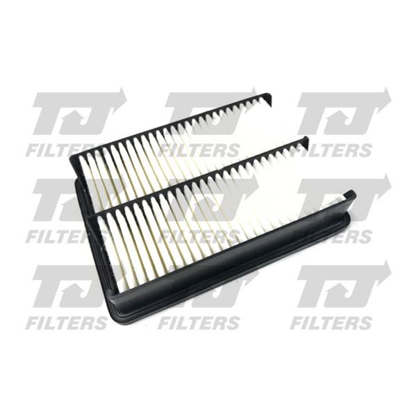 1 filtre à air QFA1012 Quinton Hazel