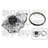 1 kit de distribution + 1 pompe à eau Quinton Hazell QBPK9169