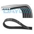 Courroie d'Accessoire DAYCO 5PK865