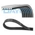 Courroie d'Accessoire DAYCO 6PK1125