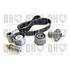 1 Kit de distribution Quinton Hazell QBK926