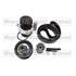 1 Kit de distribution + 1 pompe à eau Quinton Hazell MBPK6254