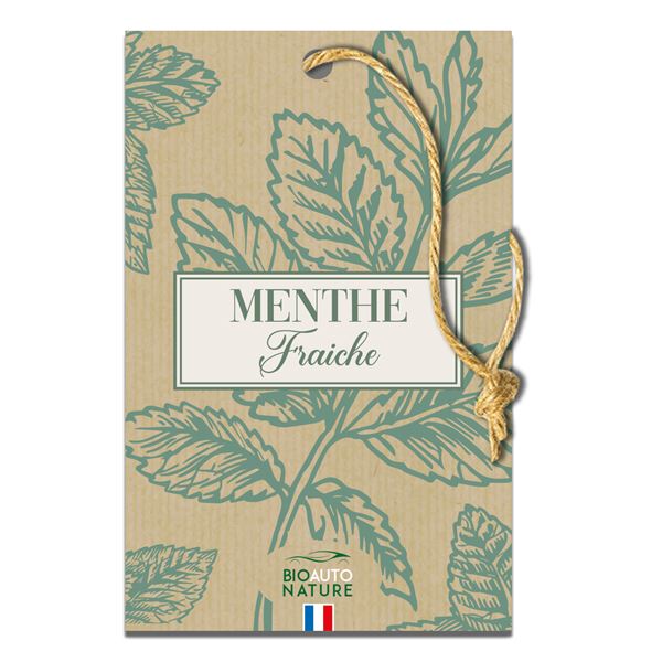 Désodorisant plaquette Menthe Bio auto nature