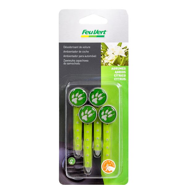 DESODORISANTS STICK FEU VERT SENTEUR AGRUMES