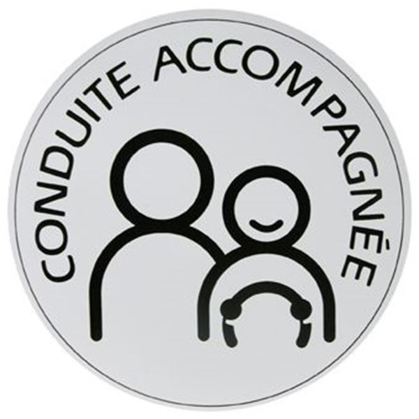Disque conduite accompagnée électrostatique