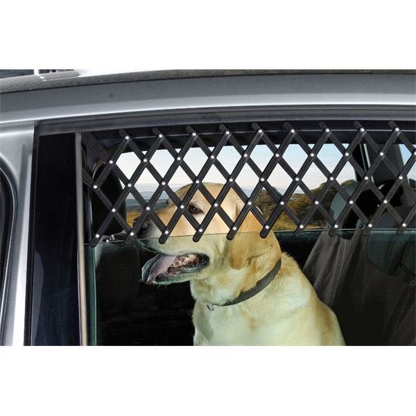 Pare chien grille fenêtre voiture - Feu Vert