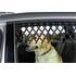 Pare chien grille fenêtre voiture
