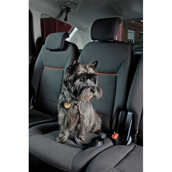 Harnais de sécurité pour chien voiture et marche Tru-Fit Smart KURGO taille  S - Feu Vert