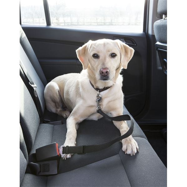 Ceinture de sécurité de chien de voiture [pack de 2] Harnais de