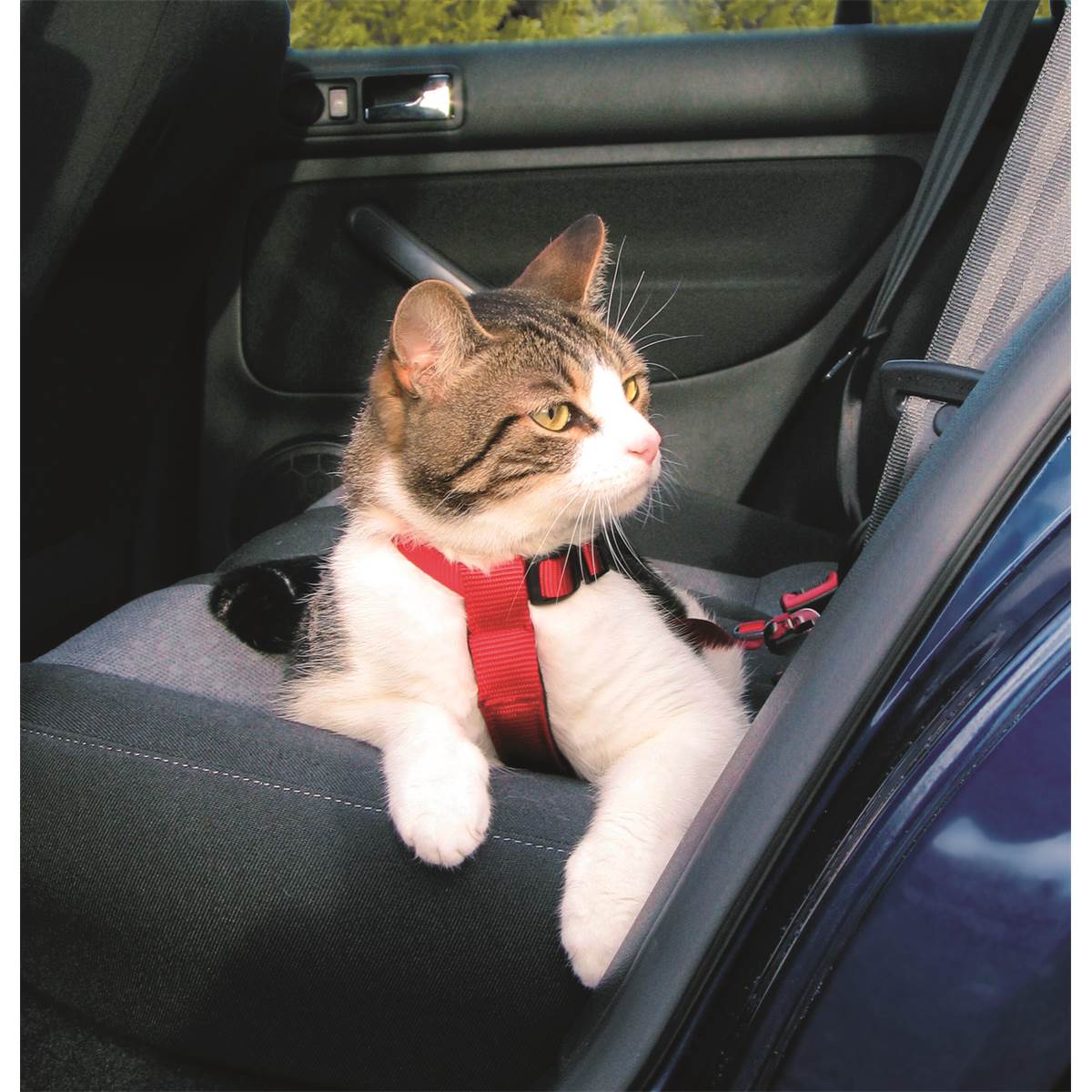 Harnais De Sécurité Voiture Pour Chat Réf. 1294 Trixie