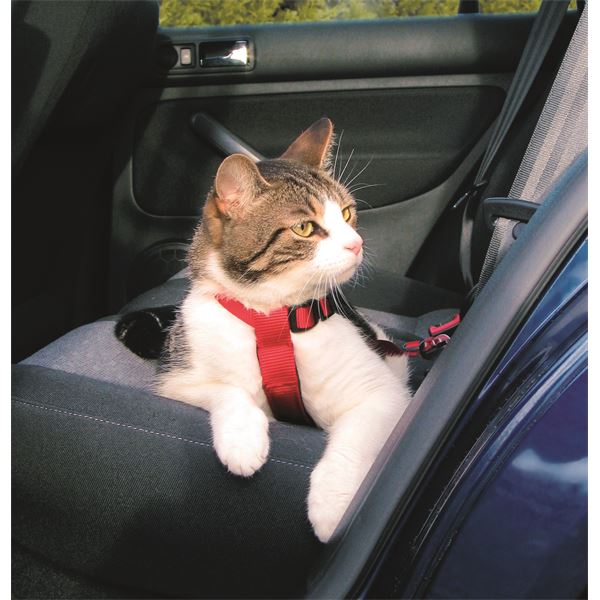 Harnais de sécurité voiture pour chat réf. 1294 Trixie - Feu Vert