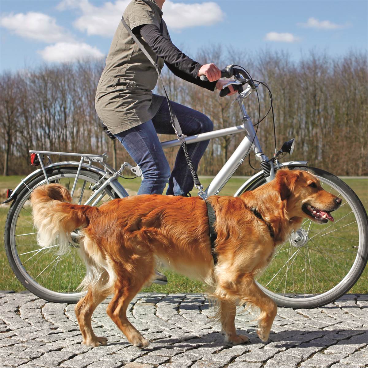 Laisse Chien Pour Vélo Ou Jogging Réf. 1282 Trixie