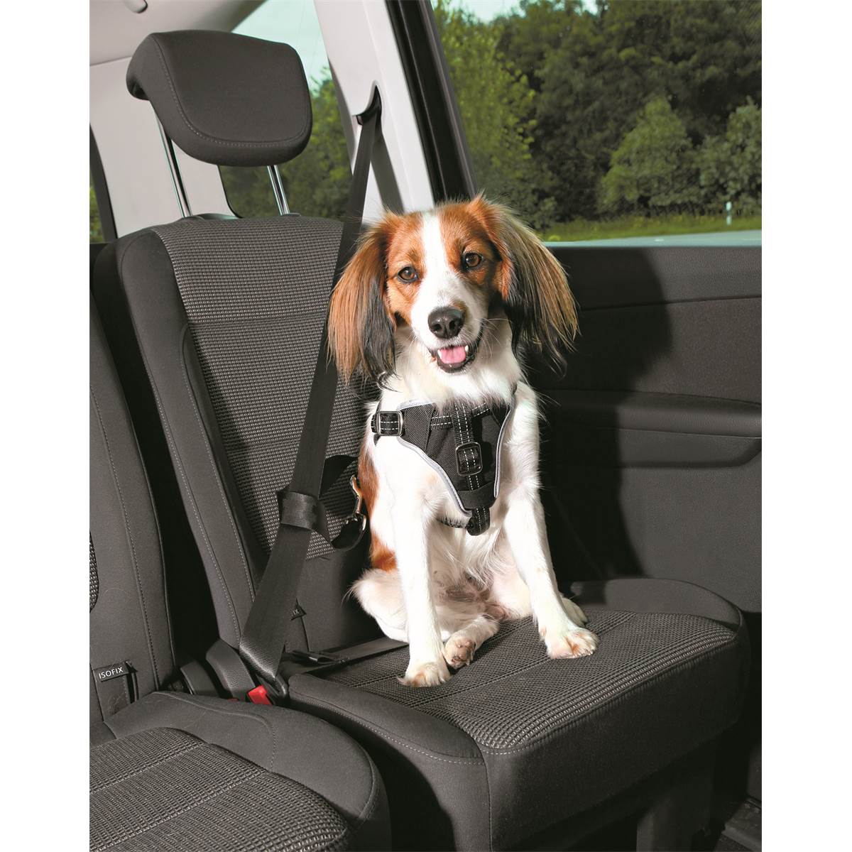 Pack Harnais Et Laisse Courte De Sécurité Voiture Chien Taille S Réf. 12855 Trixie