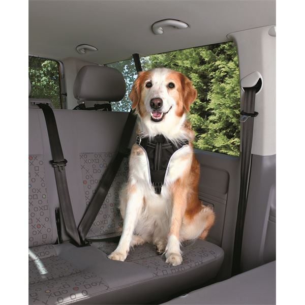 Pack Harnais Et Laisse Courte De Securite Voiture Chien Taille L Ref 12857 Trixie Feu Vert