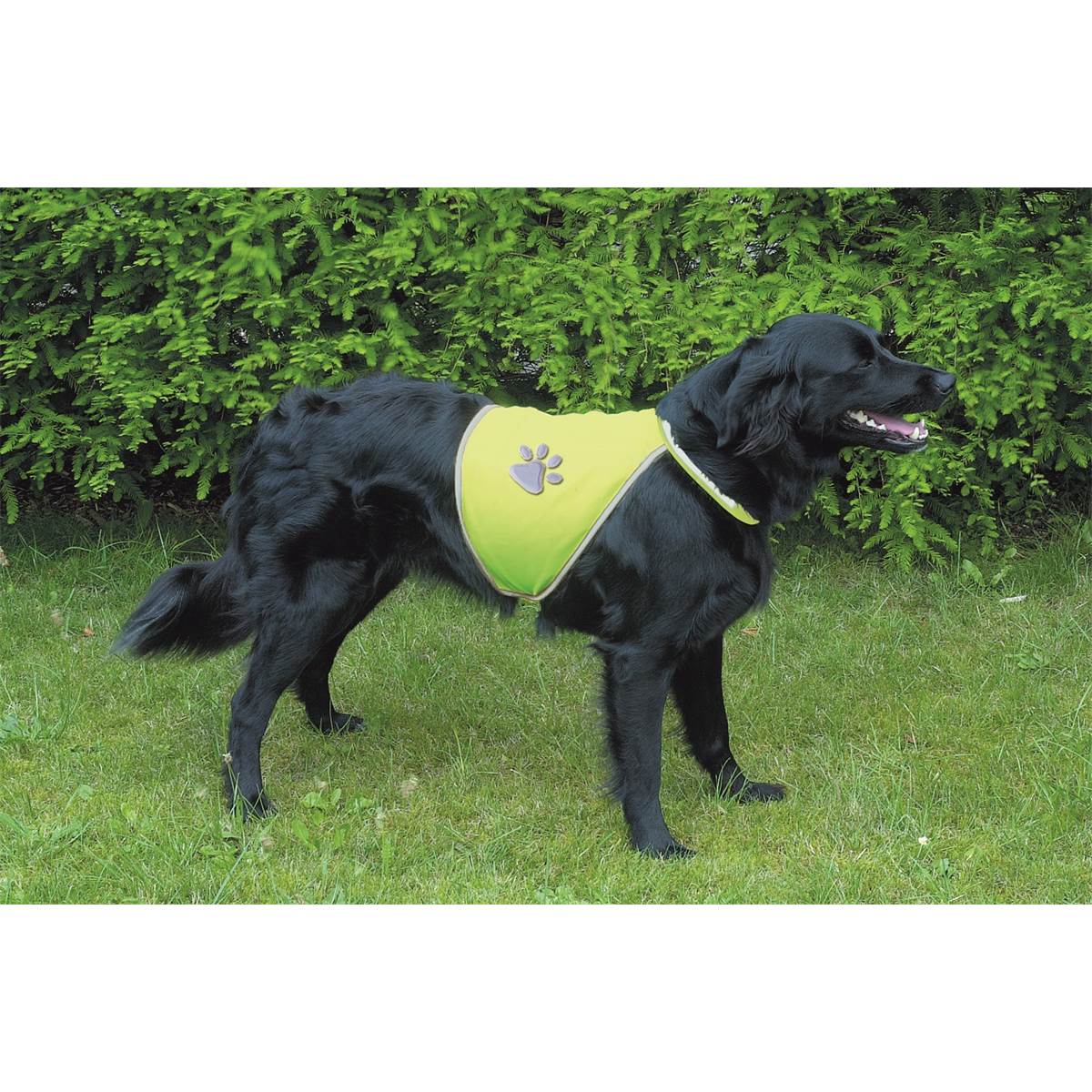 Gilet De Sécurité Pour Chien Réf. 30082 Taille M Trixie