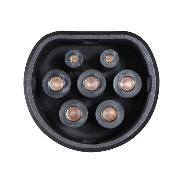 Câble de charge véhicule électrique T2/T2 32A monophasé BLAUPUNKT