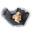 Protection de Siège banquette arrière pour Animaux ANIMALS&CAR