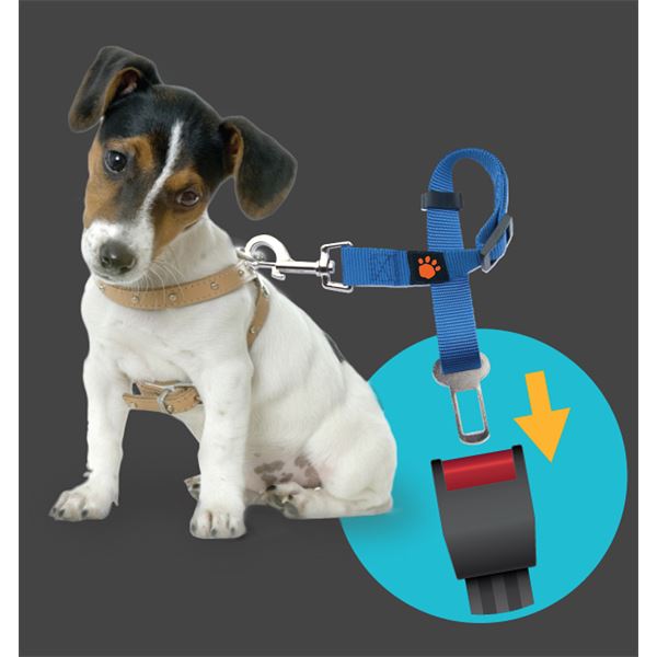 Ceinture de sécurité pour chien / chat réglable
