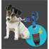 Ceinture de sécurité pour chien / chat réglable
