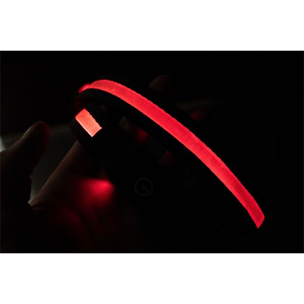 Laisse led 3 modes de lumière coutures réfléchissantes