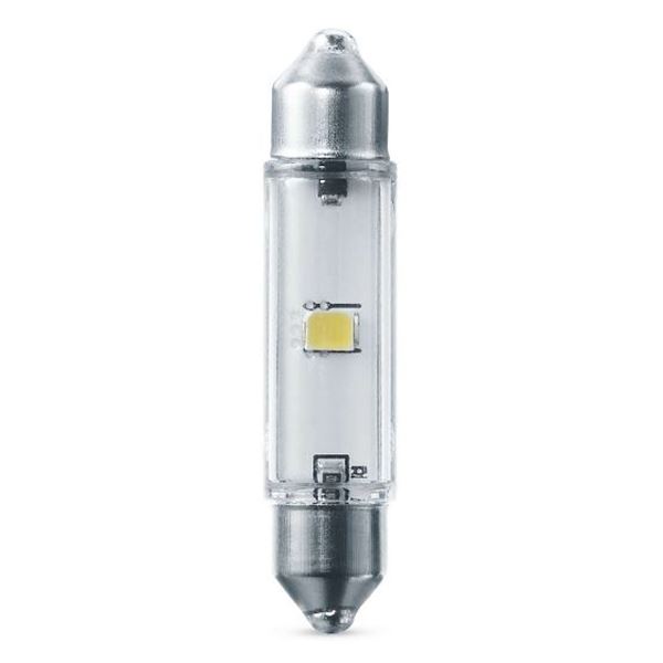 1 ampoule C5W 43mm LED PHILIPS 6000K