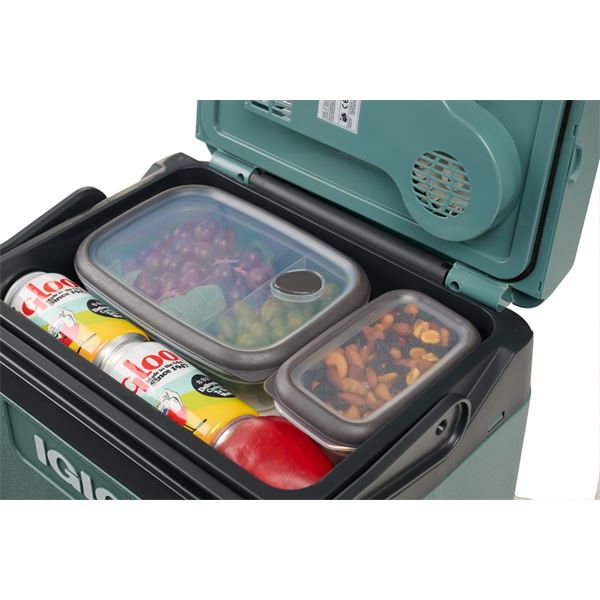 Glacière Thermoélectrique 12/230V 26L Igloo