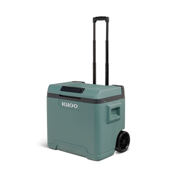 Glacière Thermoélectrique 12/230V 42L Igloo