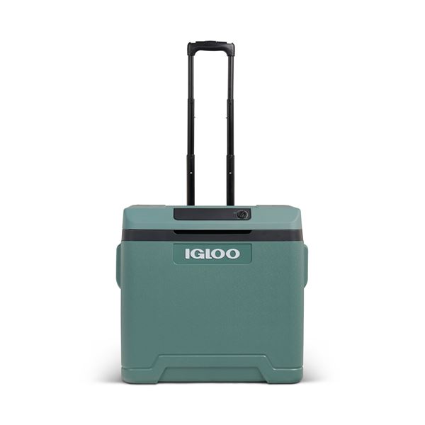 Glacière Thermoélectrique 12/230V 42L Igloo
