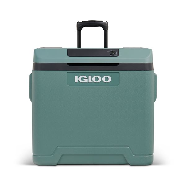 Glacière Thermoélectrique 12/230V 42L Igloo