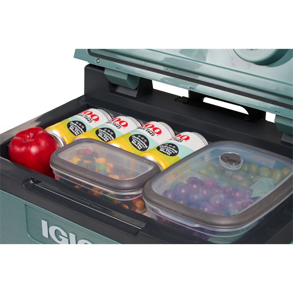 Glacière Thermoélectrique 12/230V 42L Igloo