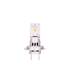 2 AMPOULES LED H7/H18 42W 12V 6000K 4600LM MAX PLUG AND PLAY