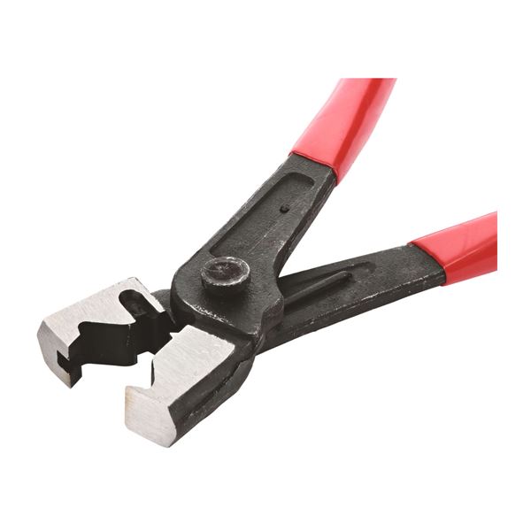 Pince pour collier clic Autobest