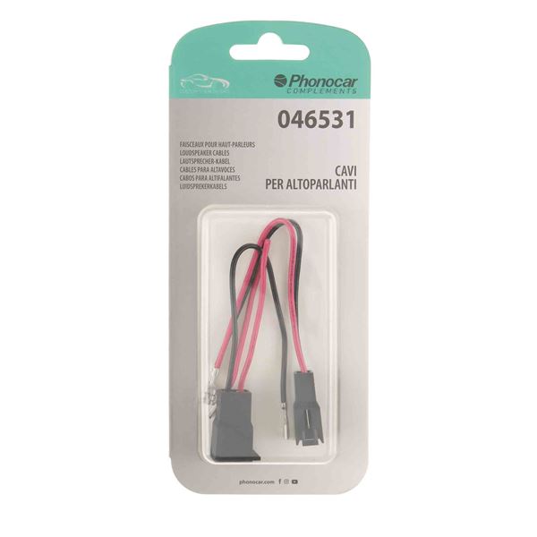 Faisceaux pour haut-parleurs 046531