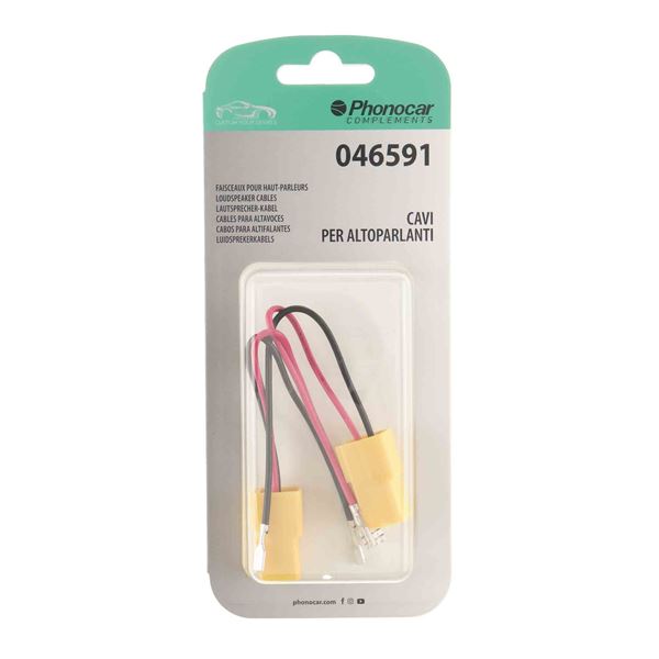 Faisceaux pour haut-parleurs 046591