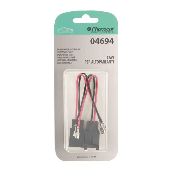 Faisceaux pour haut-parleurs 04694