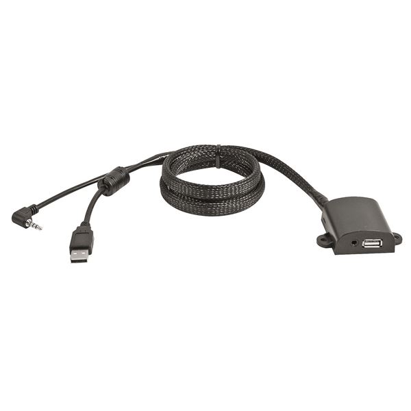 Jack audio du panneau  3.5” A/V