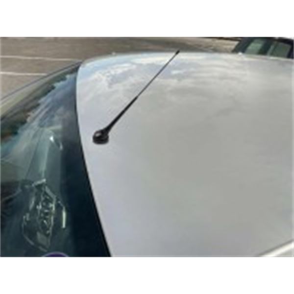 Antenne 40cm AM/FM pour toit avant 08087