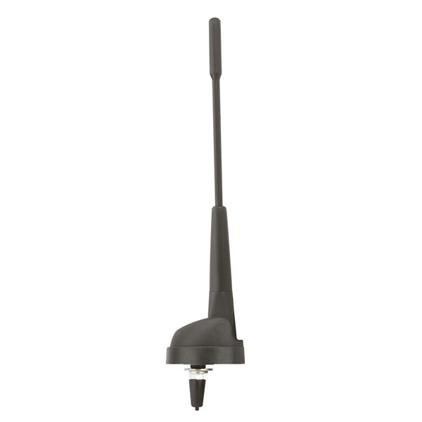Antenne AM/FM de toit avant