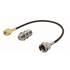 Adaptateur pour câble antenne TV - F -> SMA femelle