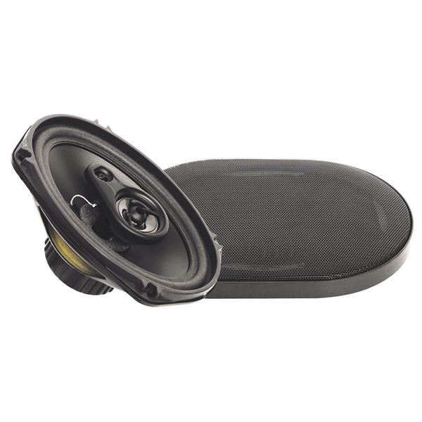 Haut-parleur Basic 3 vioes avec grille 120 Watt  160x240
