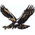 Adhésif géant Cadox Aigle