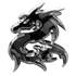 Sticker carrosserie emblème chromé dragon Cadox