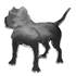 Sticker carrosserie emblème chromé Dog