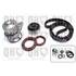 1 kit de distribution + 1 pompe à eau Quinton Hazell QBPK1040