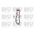 1 kit de distribution Quinton Hazell QBK111