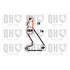 1 kit de distribution Quinton Hazell QBK119