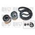 1 kit de distribution Quinton Hazell QBK138