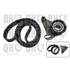 1 kit de distribution Quinton Hazell QBK215