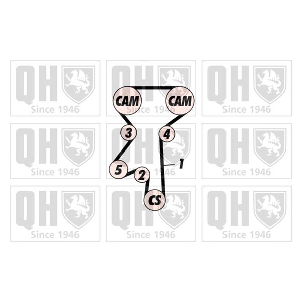 1 kit de distribution Quinton Hazell QBK226